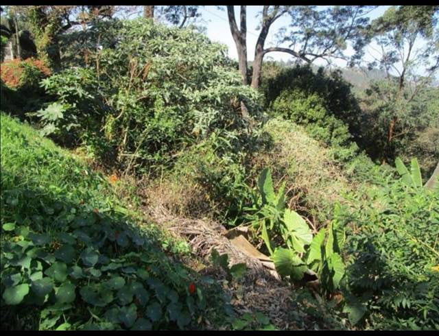3,494M² VACANT LAND FOR SALE IN COWIES HILL